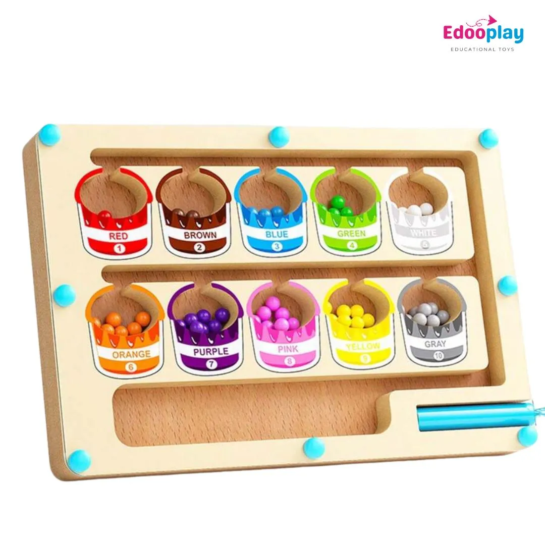 Magnetic Sorting Toy for Kids