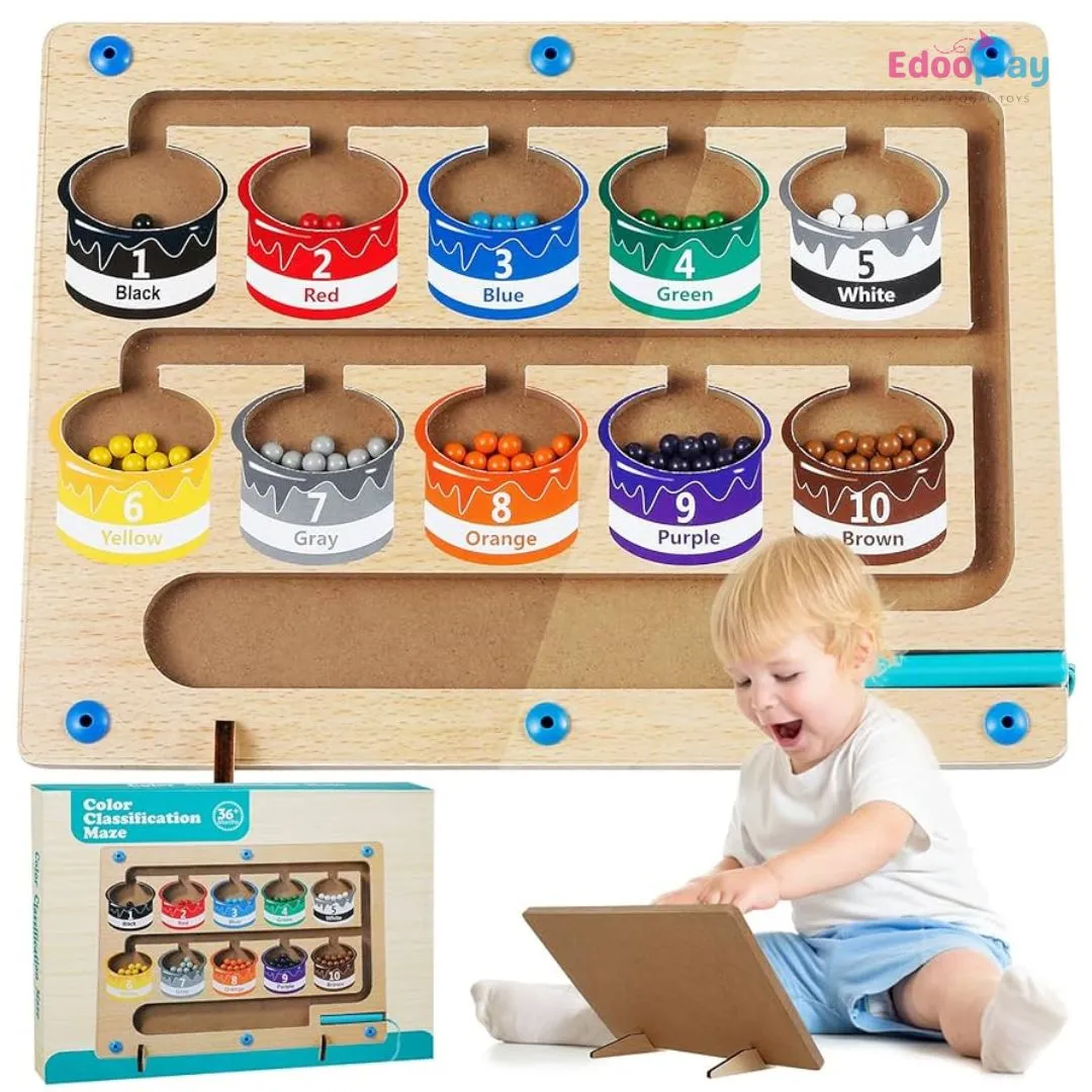 Magnetic Sorting Toy for Kids